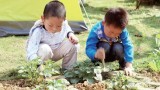【他山之石】中国最贵最漂亮的"乡村幼儿园"